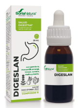 Digeslan (Composor 11)